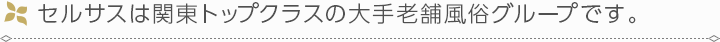 セルサスは関東トップクラスの大手老舗風俗グループです。