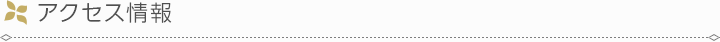 アクセス情報