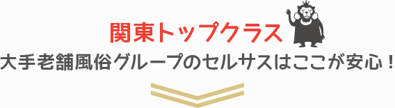 関東トップクラス大手老舗風俗グループのセルサスはここが安心!