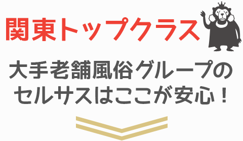 関東トップクラス大手老舗風俗グループのセルサスはここが安心!