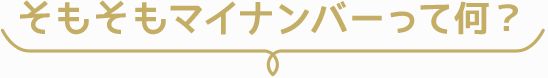 そもそもマイナンバーって何？